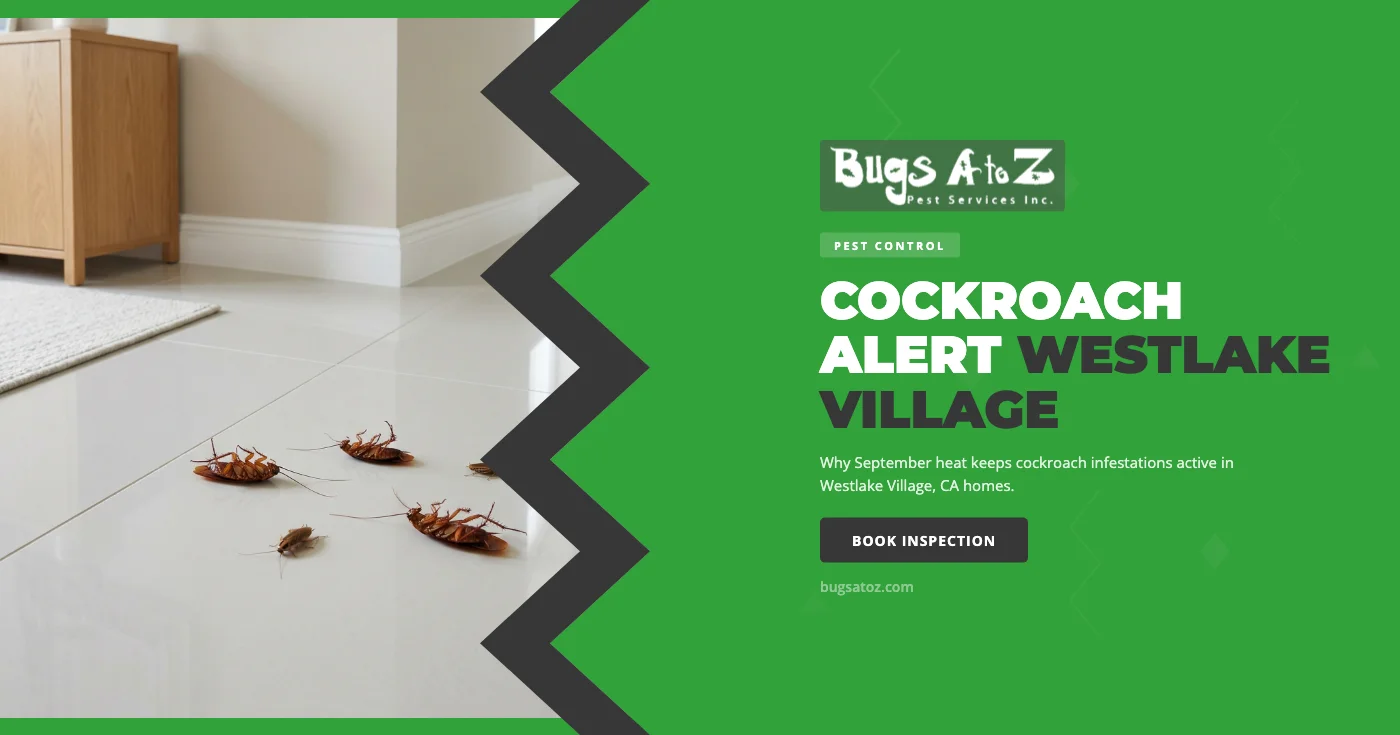 Why September Heat Keeps Cockroach Infestations Active in Westlake Village, CA Homes