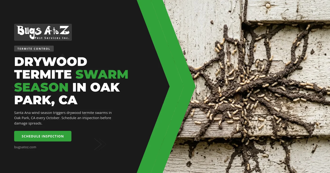 Drywood termite control in Oak Park CA — close view of discarded western drywood termite wings and small tan frass pellets collected on a south-facing windowsill after an October Santa Ana wind swarm in a Conejo Valley home