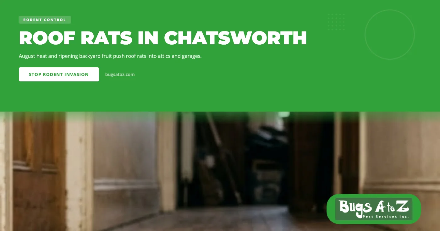 Late-Summer Rodent Surge in Chatsworth, CA: Why August Heat and Backyard Fruit Draw Roof Rats Indoors