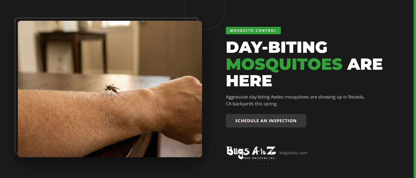 Why Aggressive Day-Biting Mosquitoes Are Showing Up in Reseda, CA Backyards This Spring