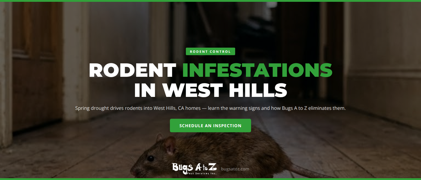 Stopping Rodent Infestations in West Hills, CA | Bugs A to Z