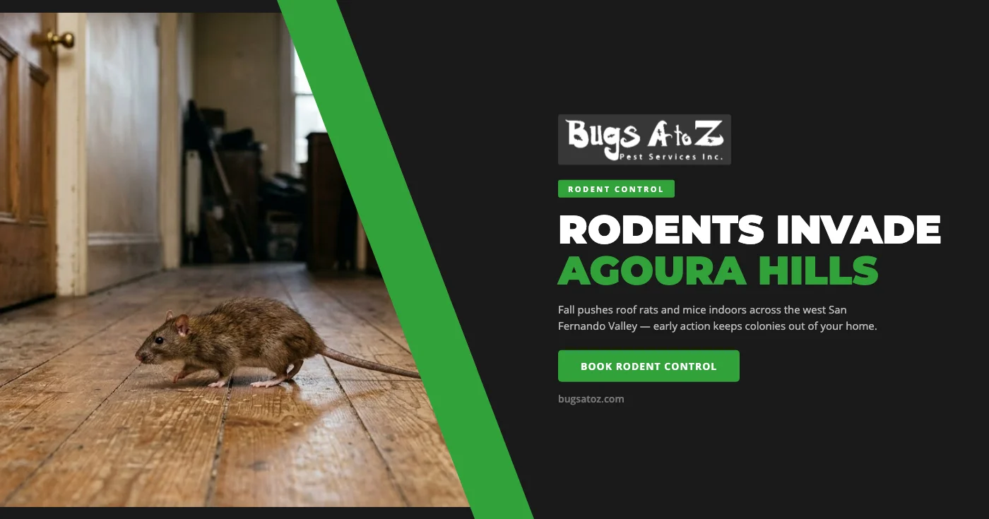 Why September Is Prime Rodent Season in Agoura Hills, CA — and How to Keep Them Out