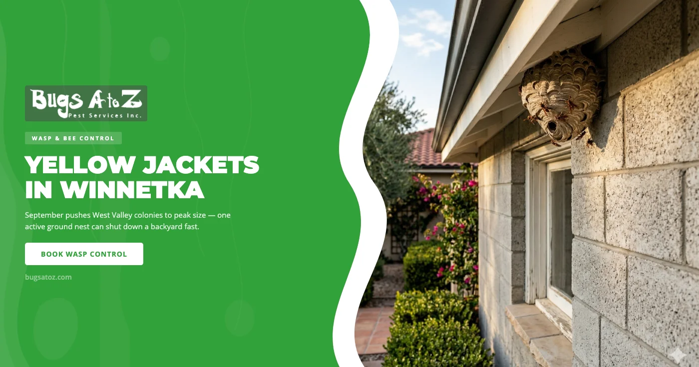 Yellow Jacket & Wasp Control in Winnetka, CA: Why September Is Peak Season and How to Protect Your Home