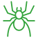 Spider Control